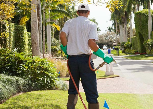About Redding CT Pest Control